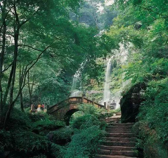 沪江开心词场